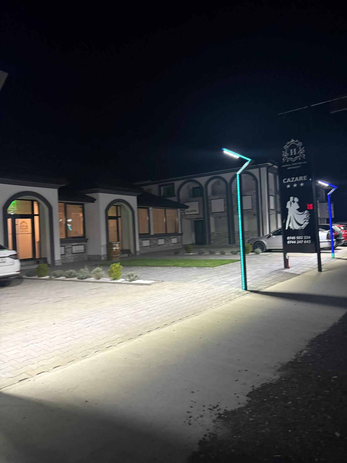 Salon Hanul dintre Vii - 12