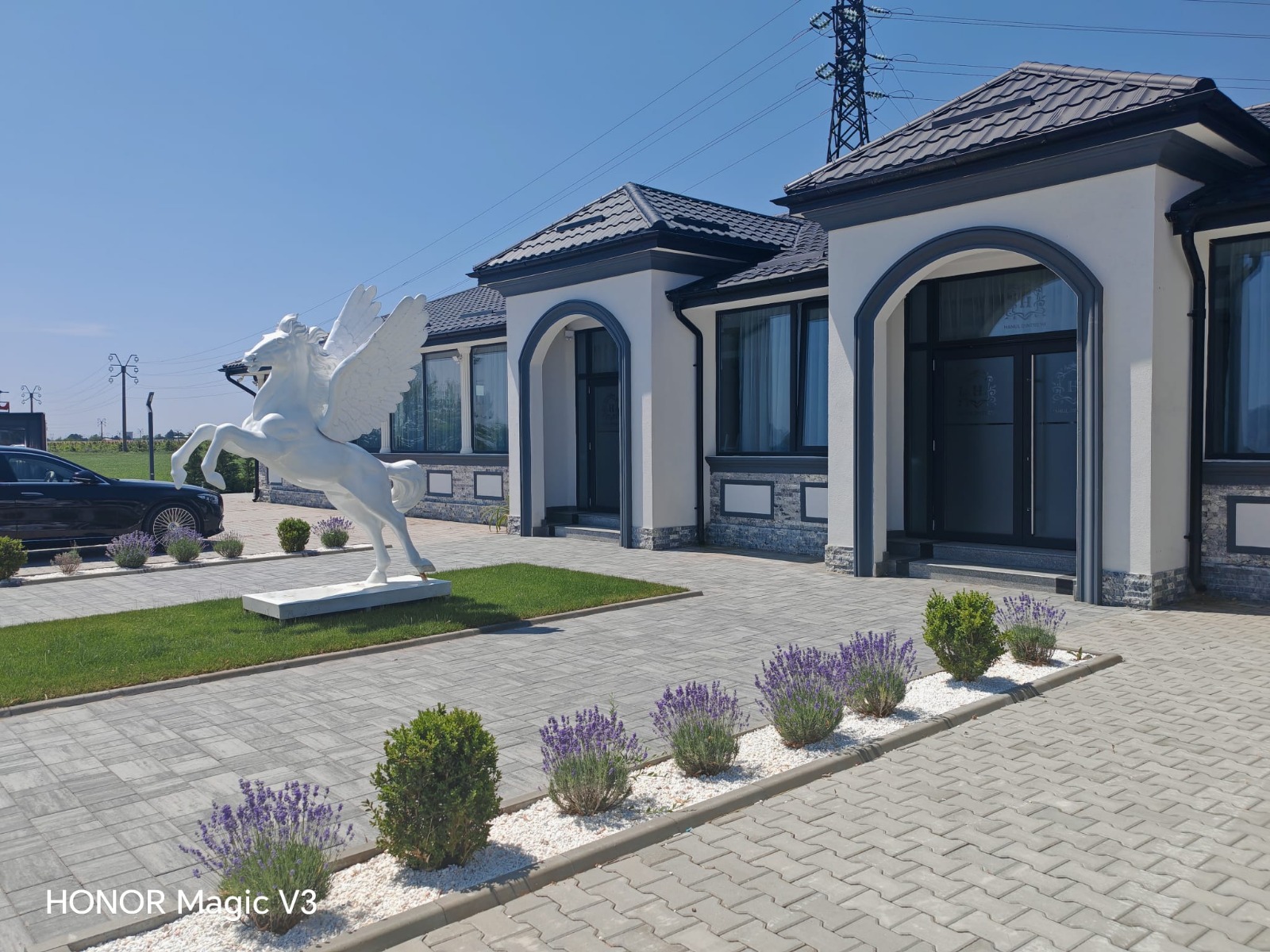 Salon Hanul dintre Vii - 17