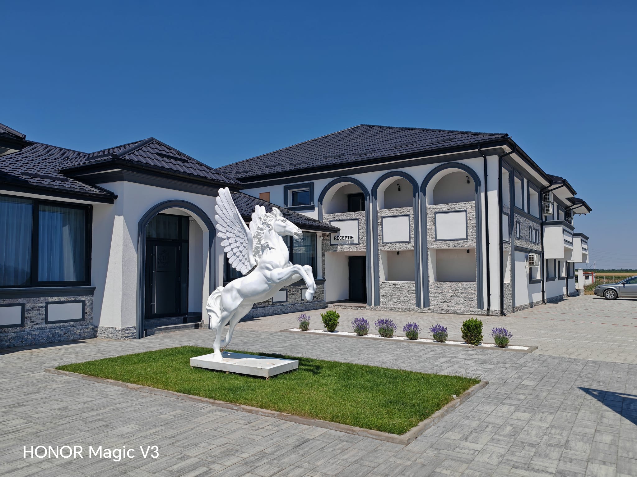 Salon Hanul dintre Vii - 35